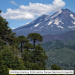 II SIMPOSIO CHILENO DE VOLCANOLOGÍA